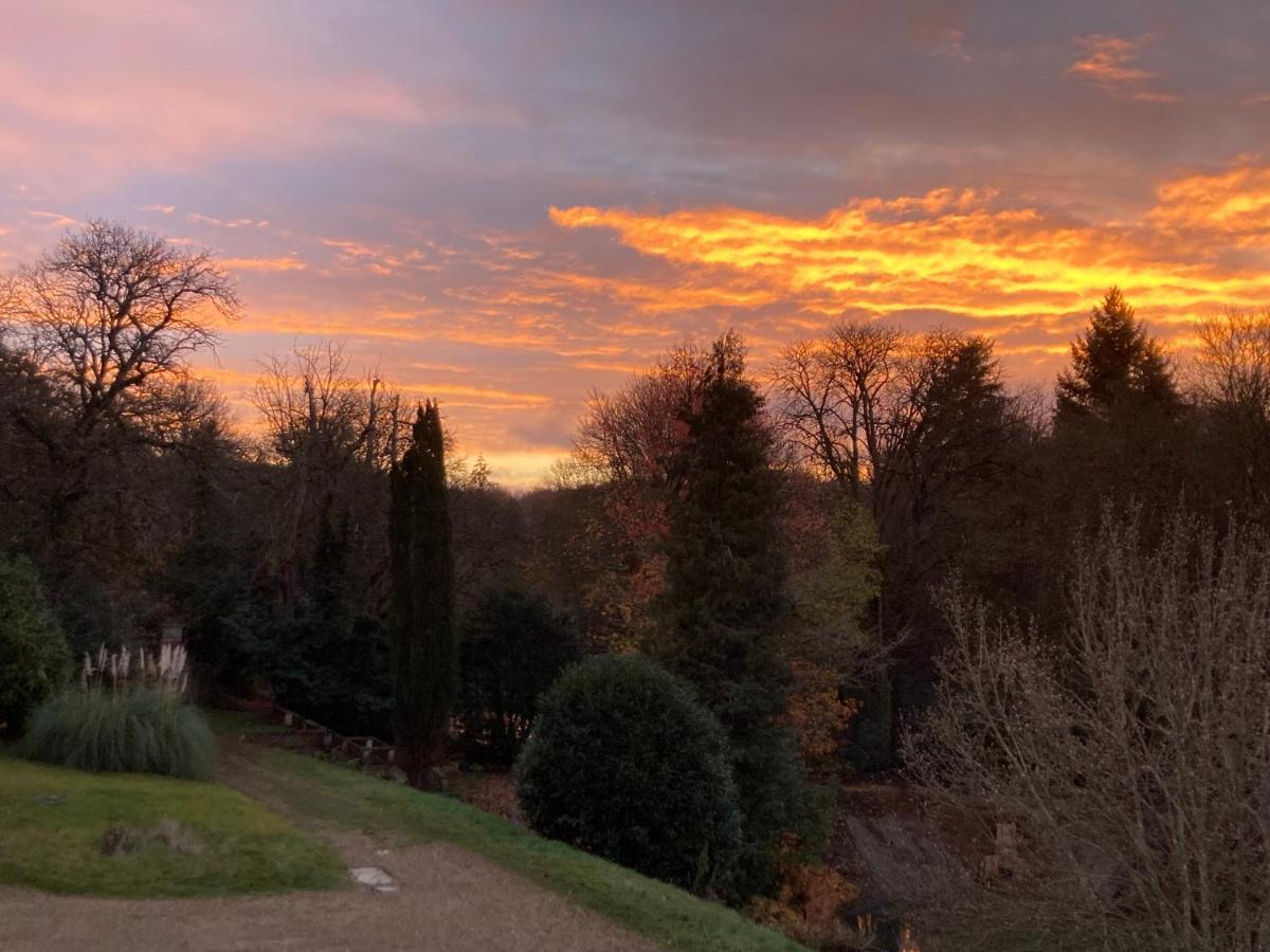 Chateau De La Huberdiere Nazelles-Negron Bagian luar foto