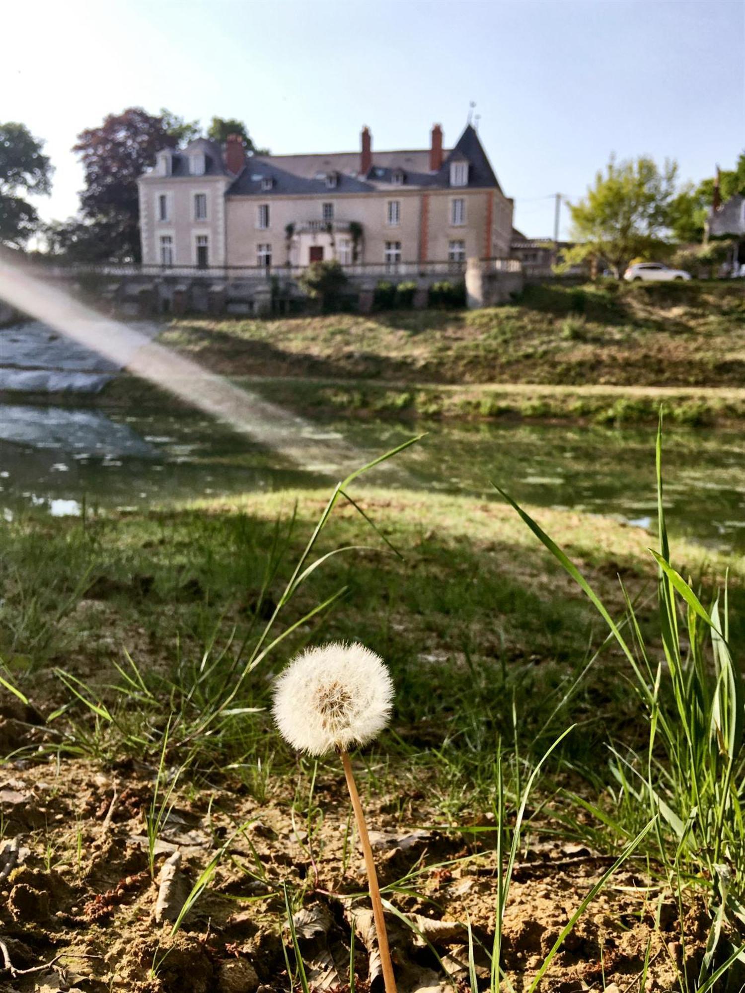 Chateau De La Huberdiere Nazelles-Negron Bagian luar foto