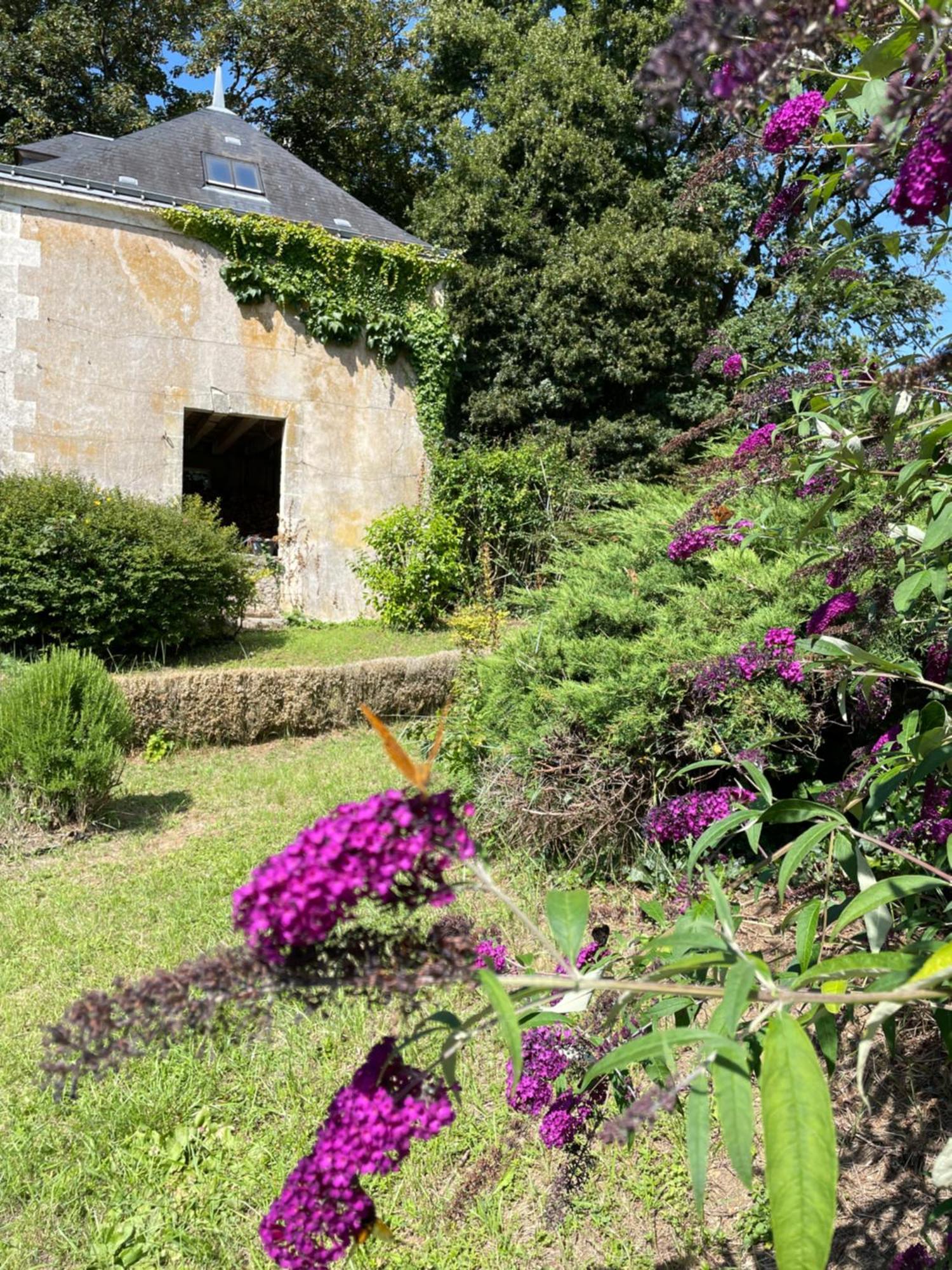Chateau De La Huberdiere Nazelles-Negron Bagian luar foto