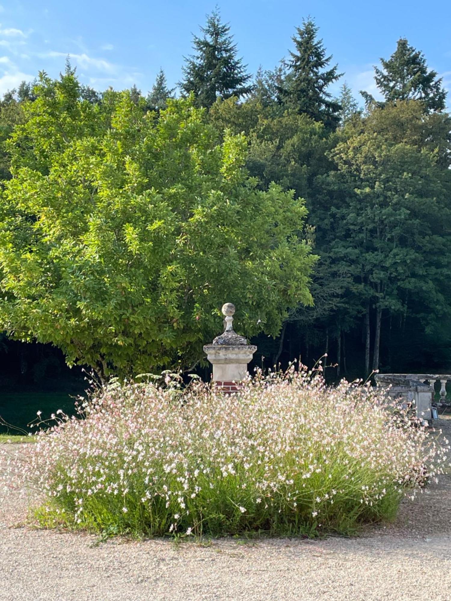 Chateau De La Huberdiere Nazelles-Negron Bagian luar foto
