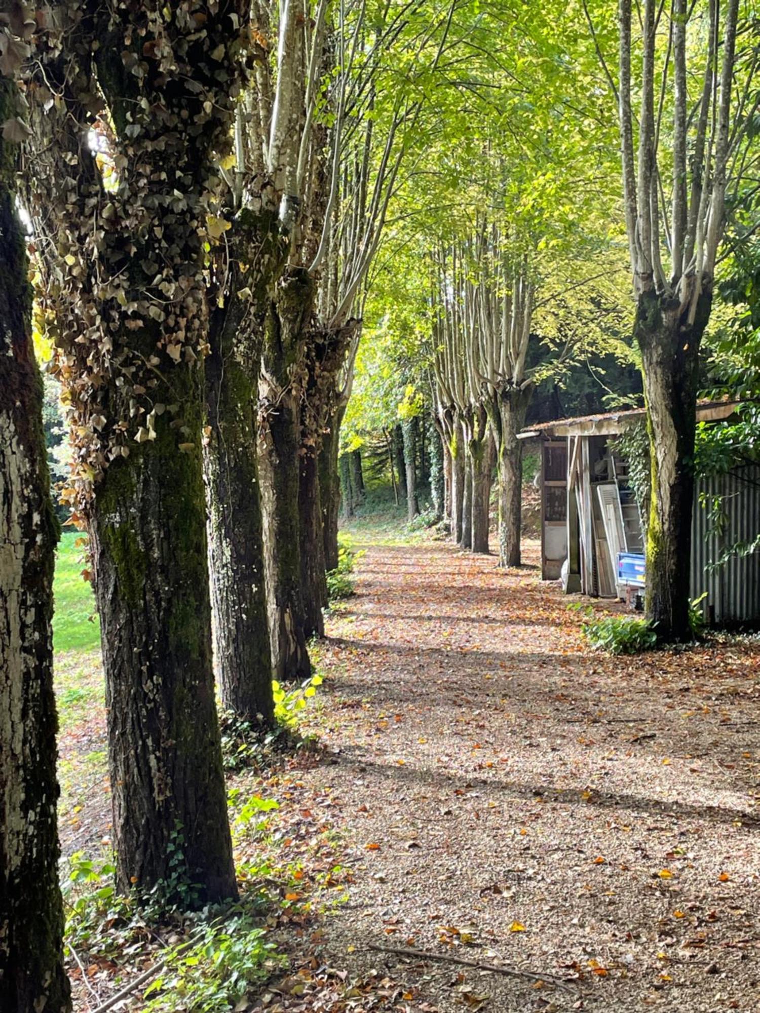 Chateau De La Huberdiere Nazelles-Negron Bagian luar foto