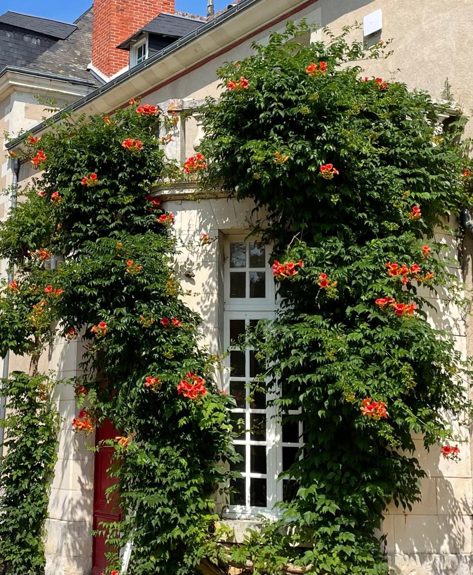 Chateau De La Huberdiere Nazelles-Negron Bagian luar foto