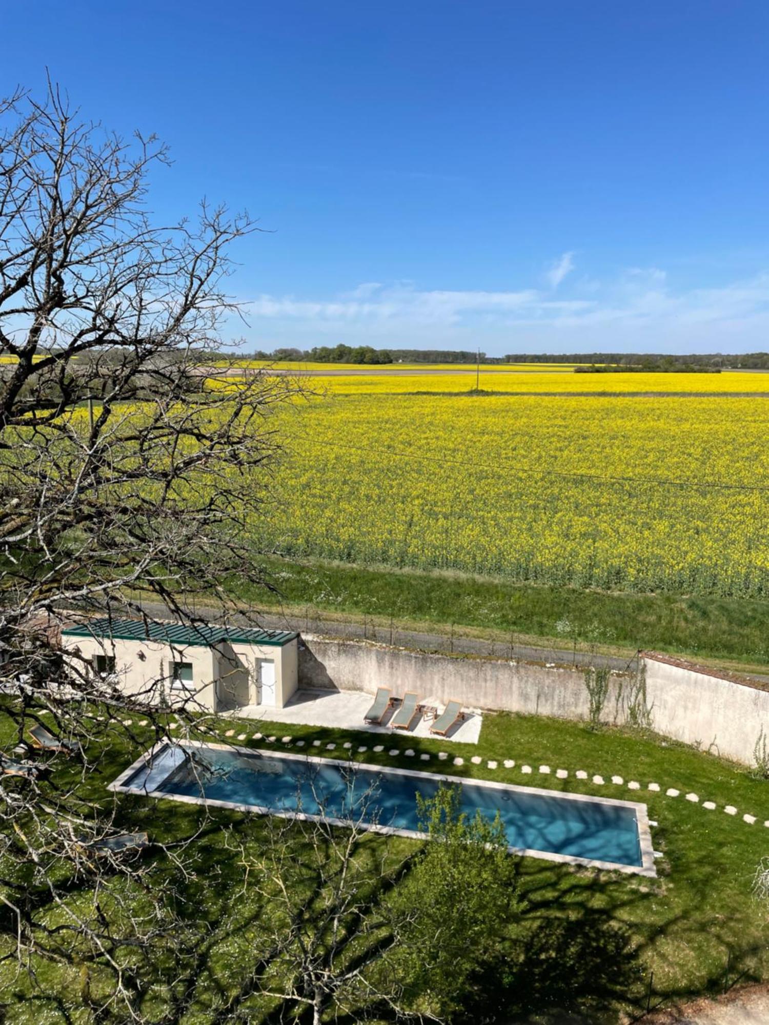 Chateau De La Huberdiere Nazelles-Negron Bagian luar foto